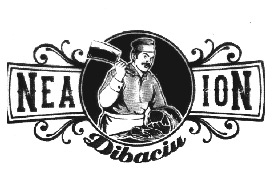NEA ION Dibaciu
