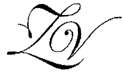 ZV