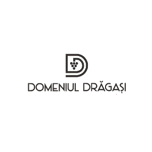 DOMENIUL DRĂGAŞI