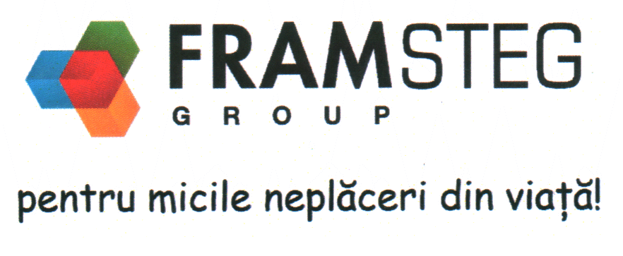 FRAMSTEG GROUP PENTRU MICILE NEPLĂCERI DIN VIAŢĂ!