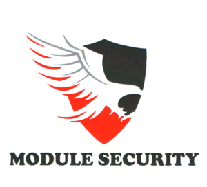 MODULE SECURITY