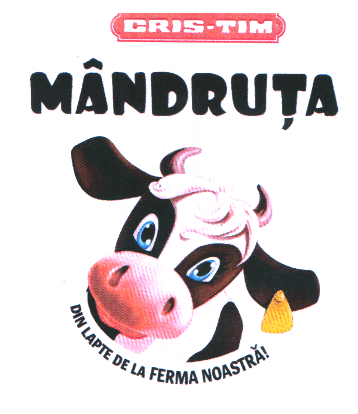CRIS-TIM MÂNDRUŢA DIN LAPTE DE LA FERMA NOASTRĂ!