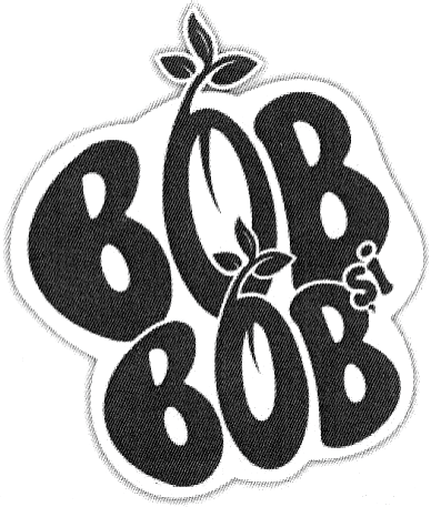 BOB ŞI BOB