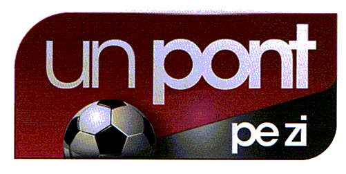 un pont pe zi