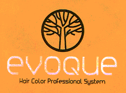 evoque Hair Color Professional System