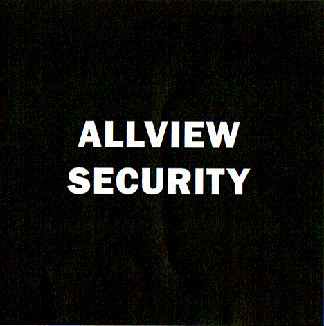 ALLVIEW SECURITY