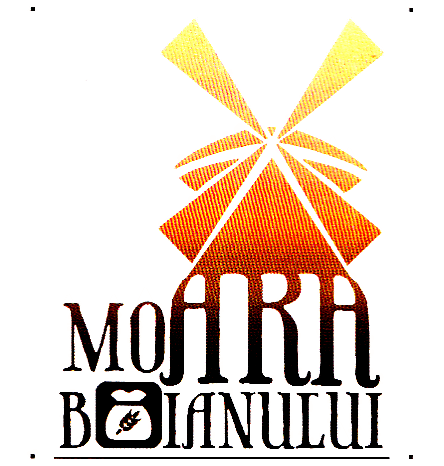 MOARA BOIANULUI