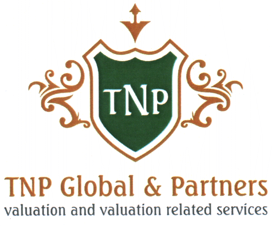 TNP Global & Partners valuation and valuation related services