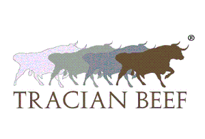 TRACIAN BEEF