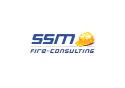 SSM FIRE CONSULTING