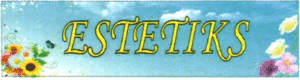 ESTETIKS