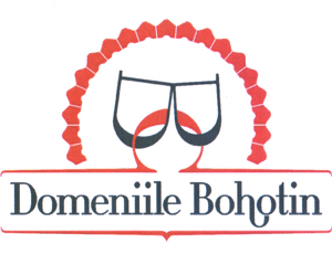 Domeniile Bohotin