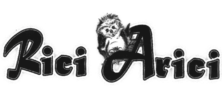 Rici Arici