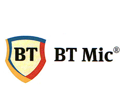 BT Mic
