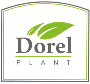Dorel PLANT