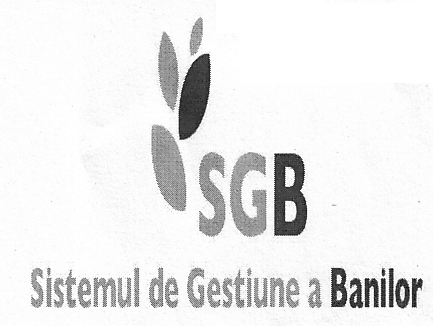 SGB Sistemul de Gestiune a Banilor