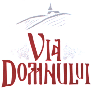 VIA DOMNULUI