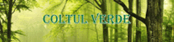 COLTUL VERDE