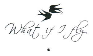 What if I fly