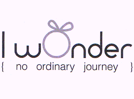 I WONDER no ordinary journey