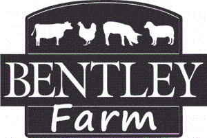 BENTLEY Farm
