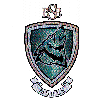 BSB MURES