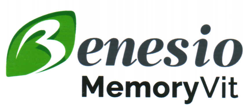 Benesio MemoryVit
