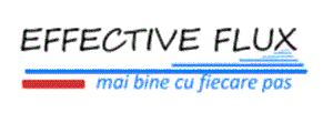 EFFECTIVE FLUX mai bine cu fiecare pas