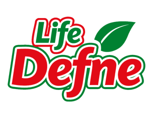 LIFE DEFNE