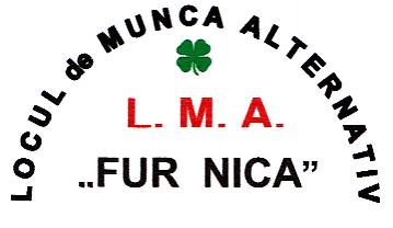 LOCUL de MUNCA ALTERNATIV L. M. A.