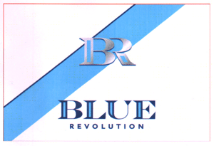 BLUE REVOLUTION