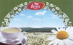 FARES 1929