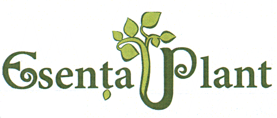 Esenţa Plant