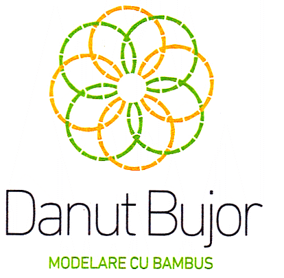 Danut Bujor MODELARE CU BAMBUS