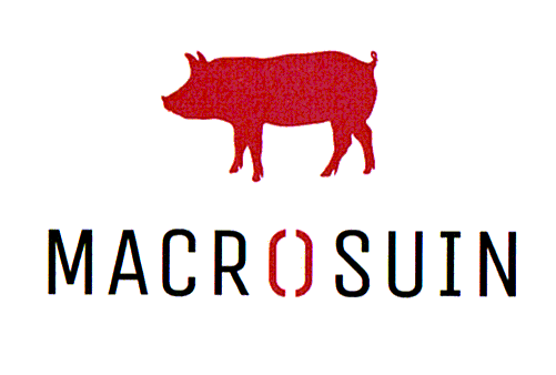 MACROSUIN