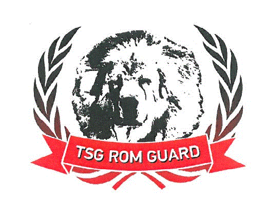 TSG ROM GUARD