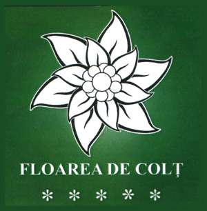 FLOAREA DE COLŢ