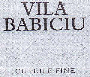 VILA BABICIU CU BULE FINE
