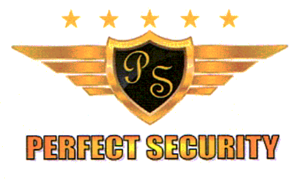PS PERFECT SECURITY