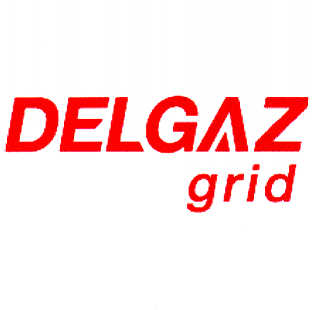 DELGAZ grid