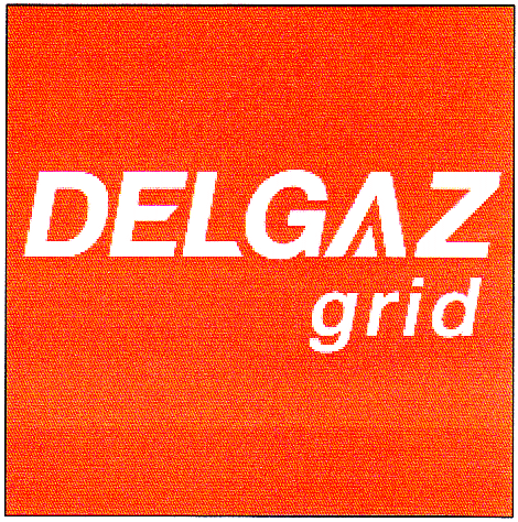 DELGAZ grid