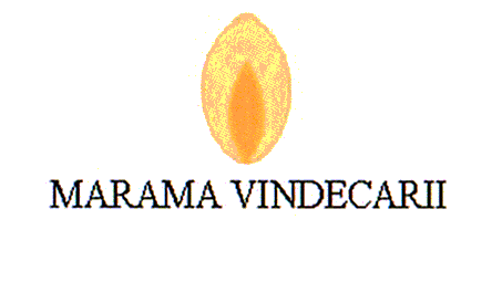MARAMA VINDECĂRII