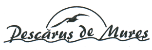 Pescăruş de Mureş