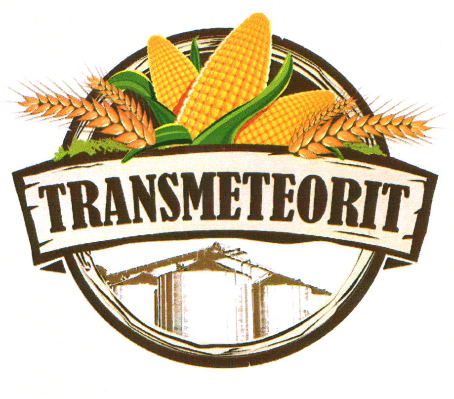 TRANSMETEORIT