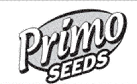 Primo SEEDS