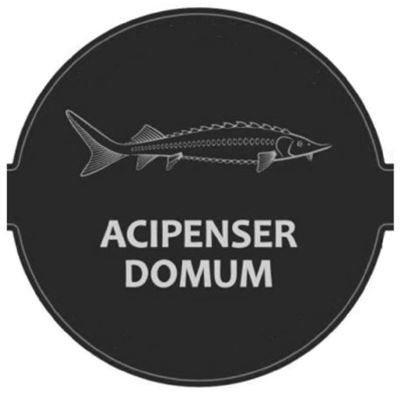 ACIPENSER DOMUM