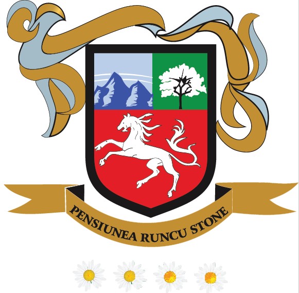 PENSIUNEA RUNCU STONE