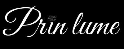 Prin lume