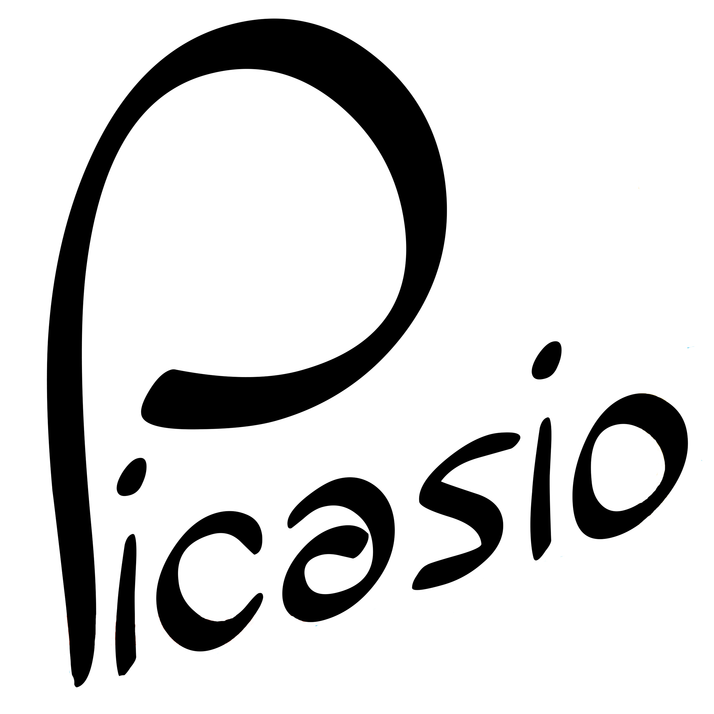 Picasio