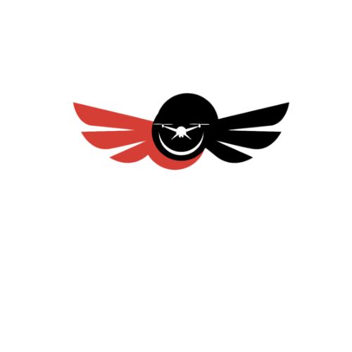 Phoenix Drones